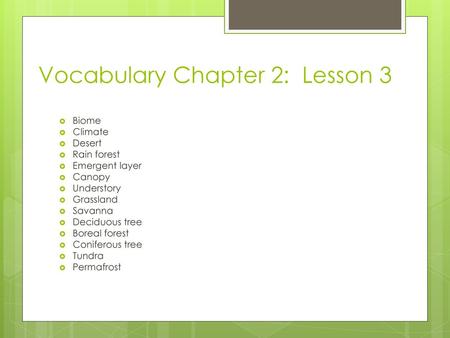 Vocabulary Chapter 2: Lesson 3