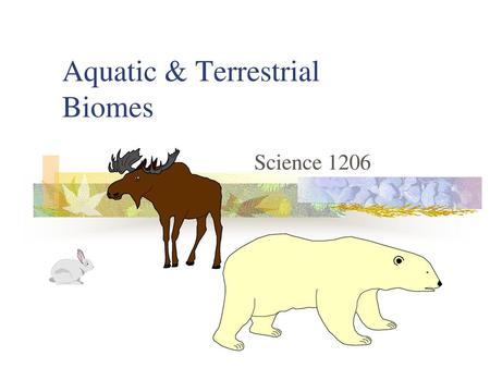 Aquatic & Terrestrial Biomes