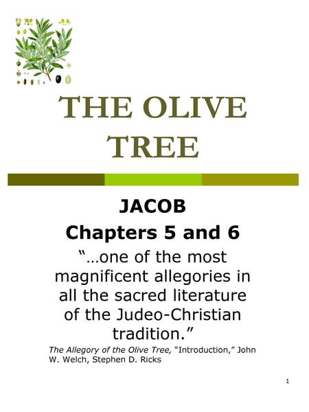 THE OLIVE TREE JACOB Chapters 5 and 6