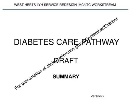 DIABETES CARE PATHWAY DRAFT SUMMARY