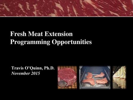 Fresh Meat Extension Programming Opportunities