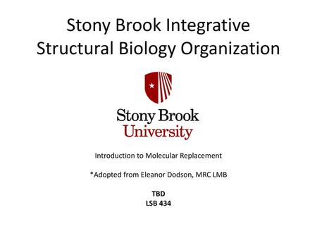 Stony Brook Integrative Structural Biology Organization