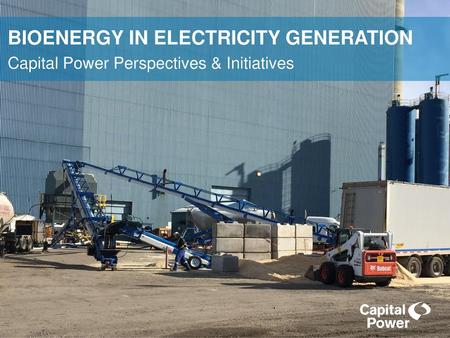 BIOENERGY IN ELECTRICITY GENERATION