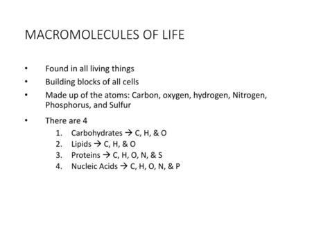 MACROMOLECULES OF LIFE