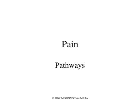 © UWCM/SONMS/Pain/MJohn