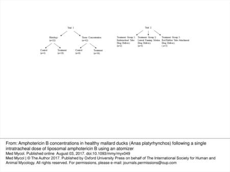 Figure 1. Trial one and trial two subject assignments