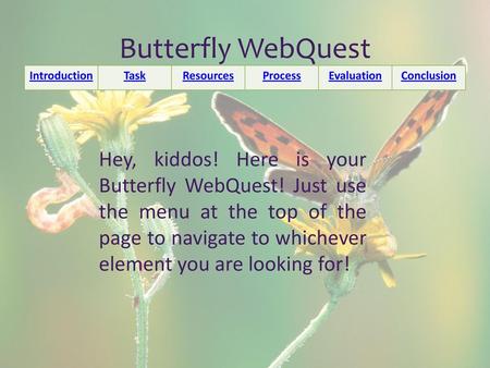 Butterfly WebQuest Introduction Task Resources Process Evaluation