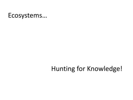 Ecosystems… Hunting for Knowledge!.