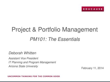 Project & Portfolio Management PM101: The Essentials