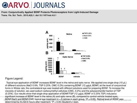 Trans. Vis. Sci. Tech ;4(6):1. doi: /tvst.4.6.1 Figure Legend: