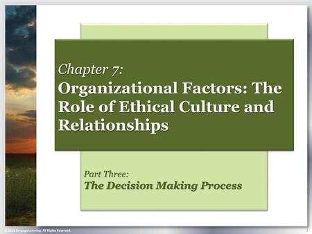 Organizational Factors: The Role of Ethical Culture and Relationships