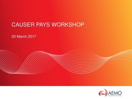 Causer Pays Workshop 20 March 2017.