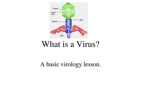 A basic virology lesson.