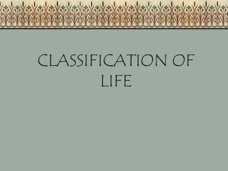 CLASSIFICATION OF LIFE