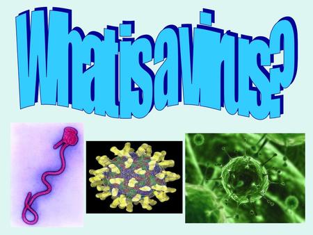 What is a virus?.