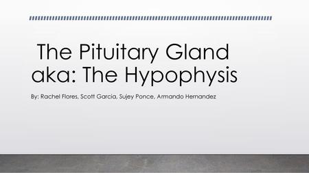 The Pituitary Gland aka: The Hypophysis