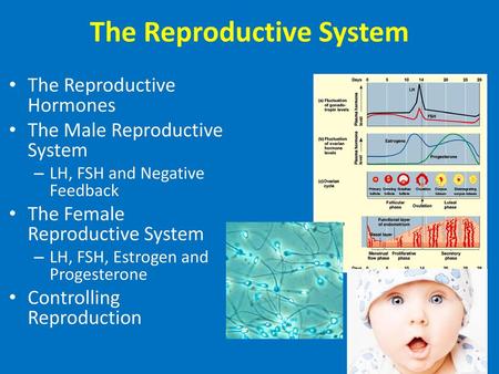 The Reproductive System