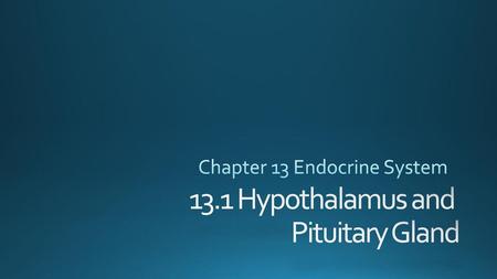 13.1 Hypothalamus and Pituitary Gland