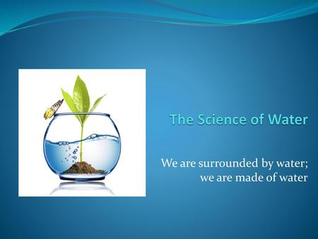 We are surrounded by water; we are made of water