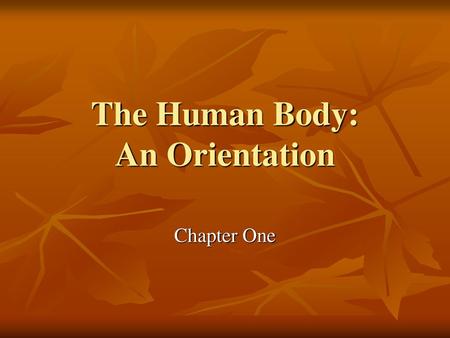 The Human Body: An Orientation