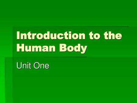 Introduction to the Human Body