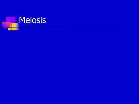 Meiosis.