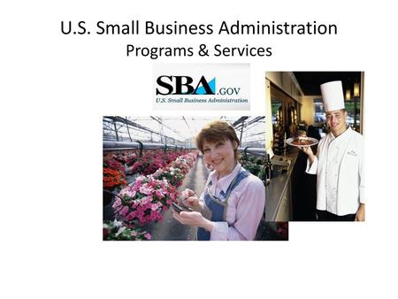 U.S. Small Business Administration Programs & Services