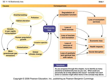 SE Biodiversity loss Causes Consequences Degradation of