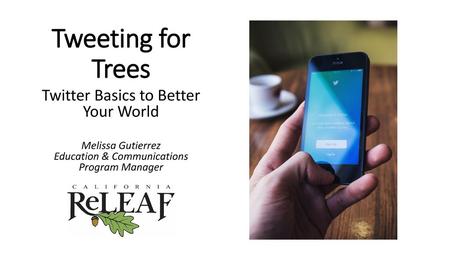 Tweeting for Trees Twitter Basics to Better Your World