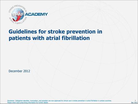 Guidelines for stroke prevention in patients with atrial fibrillation