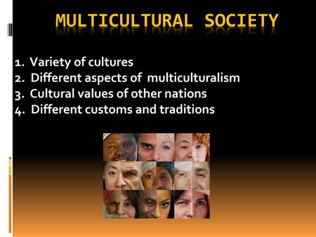 MULTICULTURAL SOCIETY