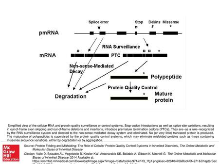 Simplified view of the cellular RNA and protein quality surveillance or control systems. Stop-codon introductions as well as splice-site variations, resulting.