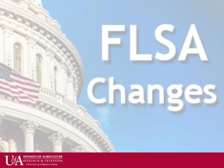 Agenda Fair Labor Standards Act (FLSA) Division & CES Policies