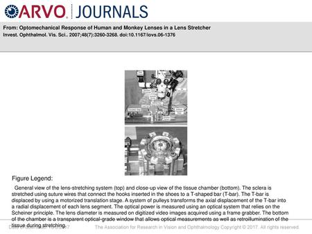 Invest. Ophthalmol. Vis. Sci ;48(7): doi: /iovs Figure Legend: