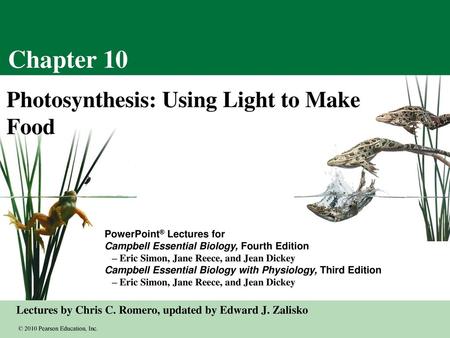 Chapter 10 Photosynthesis: Using Light to Make Food.