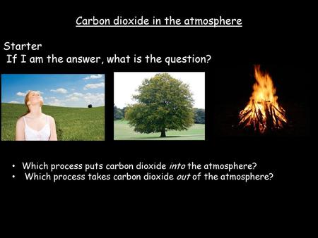 Carbon dioxide in the atmosphere