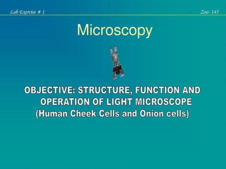 Microscopy OBJECTIVE: STRUCTURE, FUNCTION AND