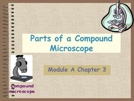 Parts of a Compound Microscope