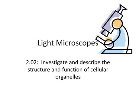 Light Microscopes 2.02: Investigate and describe the structure and function of cellular organelles.