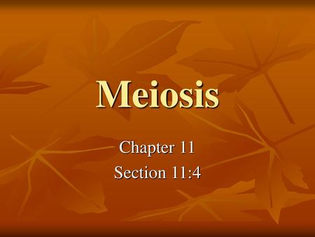 Meiosis Chapter 11 Section 11:4.