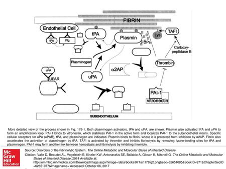 More detailed view of the process shown in Fig