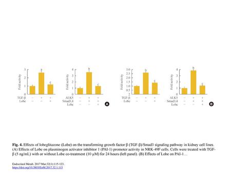 Fig. 4. Effects of lobeglitazone (Lobe) on the transforming growth factor β (TGF-β)/Smad3 signaling pathway in kidney cell lines. (A) Effects of Lobe on.