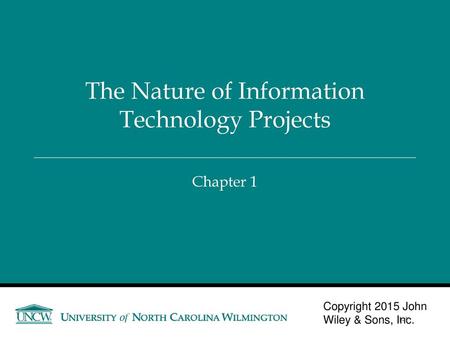 The Nature of Information Technology Projects