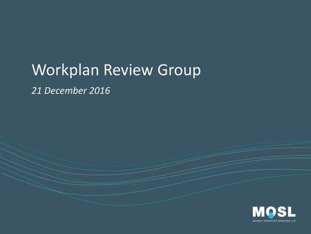 Workplan Review Group 21 December 2016.