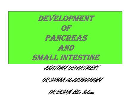 Development of pancreas and Small Intestine