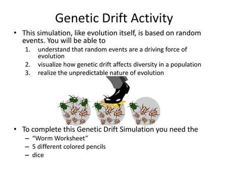 Genetic Drift Activity