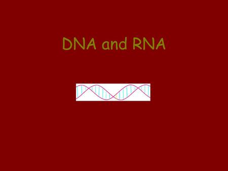 DNA and RNA.