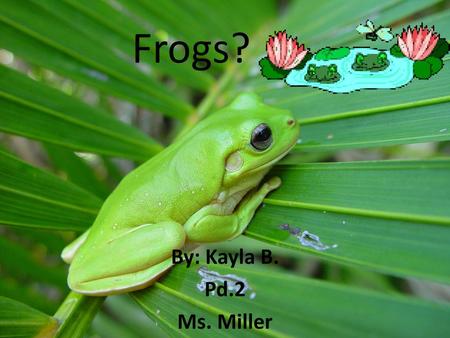 Frogs? By: Kayla B. Pd.2 Ms. Miller.