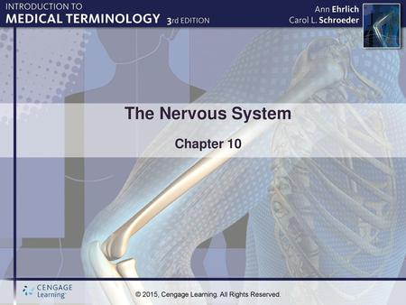 The Nervous System Chapter 10.