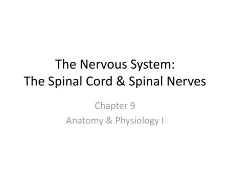 The Nervous System: The Spinal Cord & Spinal Nerves